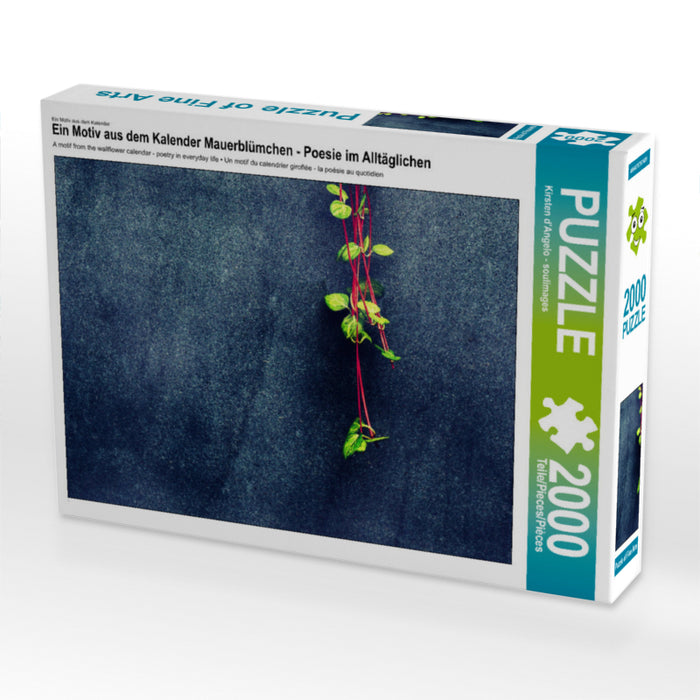 Ein Motiv aus dem Kalender Mauerblümchen - Poesie im Alltäglichen 2000 Teile Puzzle quer - CALVENDO Foto-Puzzle'