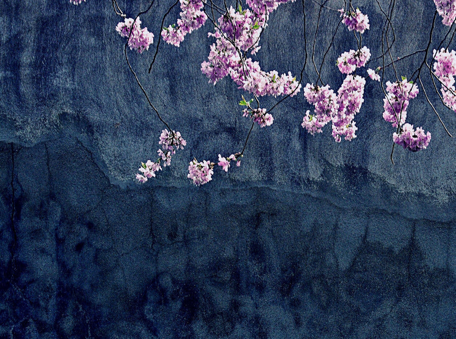 Aprilreigen - CALVENDO photo puzzle 