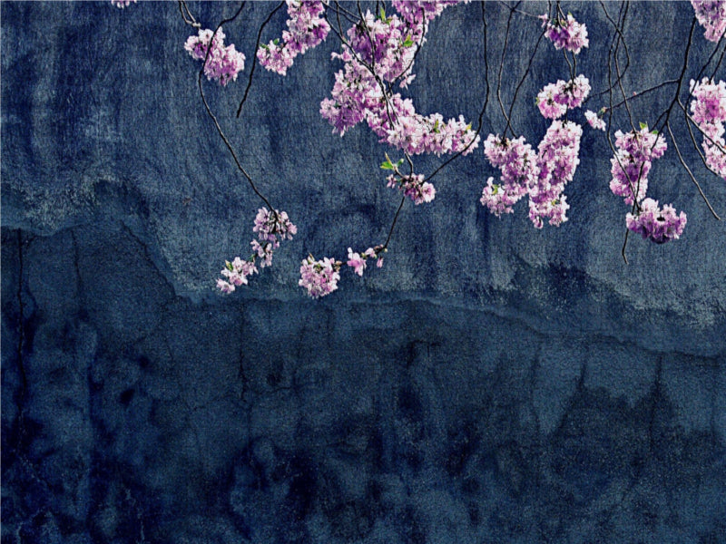 Aprilreigen - CALVENDO photo puzzle 