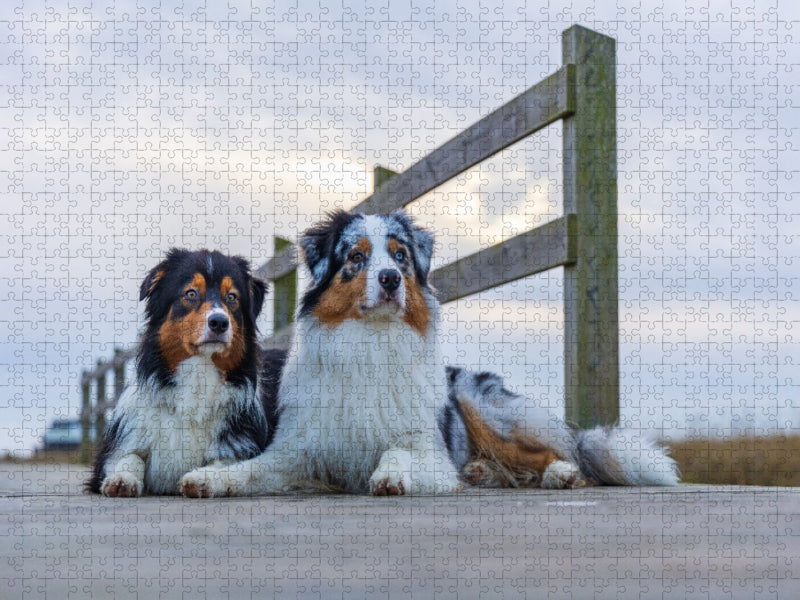 Auf dem Holzsteg - CALVENDO Foto-Puzzle'