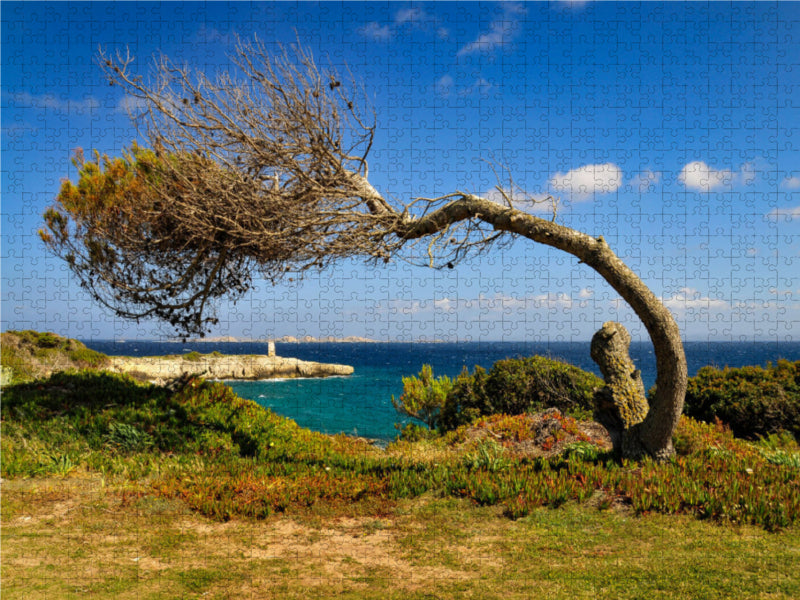 Durchhalten! 1000 Teile Puzzle quer - CALVENDO Foto-Puzzle'