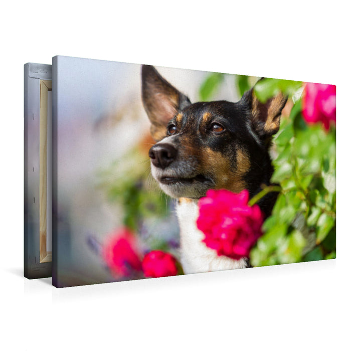 Premium Textil-Leinwand Blumenmädchen