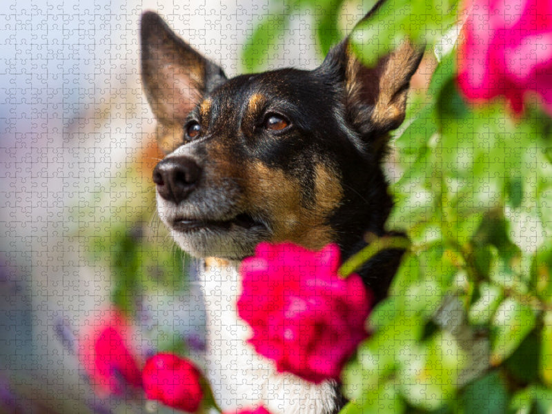Blumenmädchen - CALVENDO Foto-Puzzle'