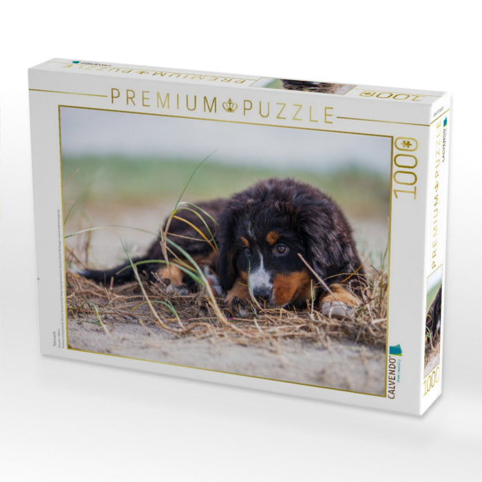 Träumerle - CALVENDO Foto-Puzzle'
