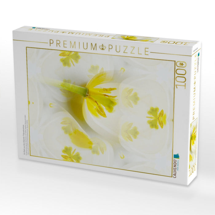 Ein Motiv aus dem Kalender Tulpenphantasie - CALVENDO Foto-Puzzle'