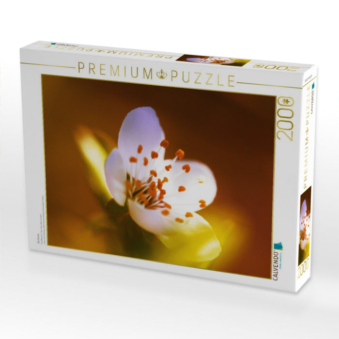 Fruit blossom - CALVENDO photo puzzle 