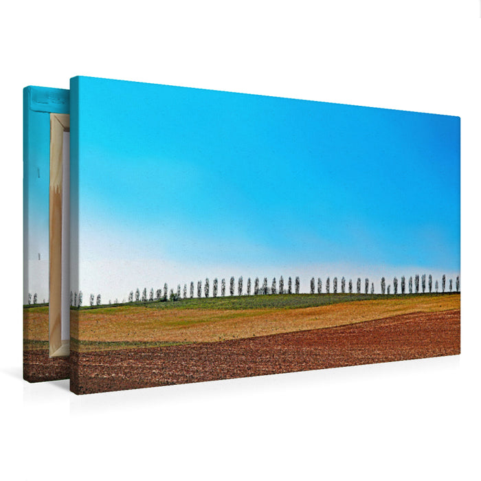 Premium Textil-Leinwand Pappelallee