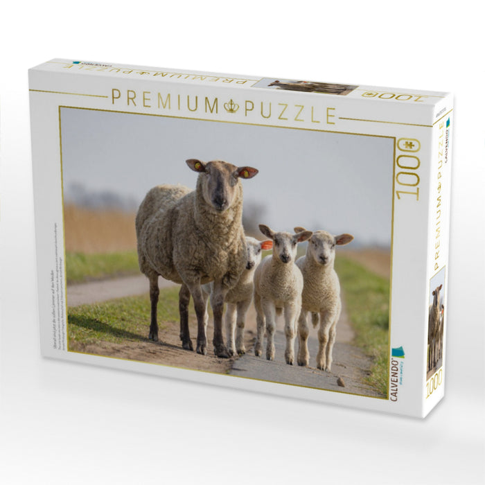 Überall sind jetzt die süßen Lämmer auf den Weiden - CALVENDO Foto-Puzzle'