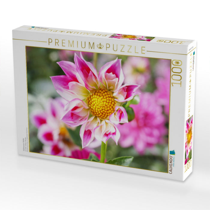 Halskrausen-Dahlie - CALVENDO Foto-Puzzle'