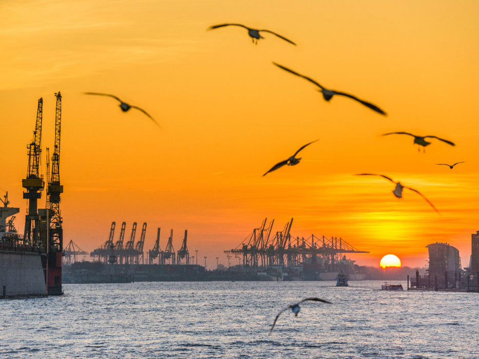 Sonnenuntergang an der Elbe - CALVENDO Foto-Puzzle'