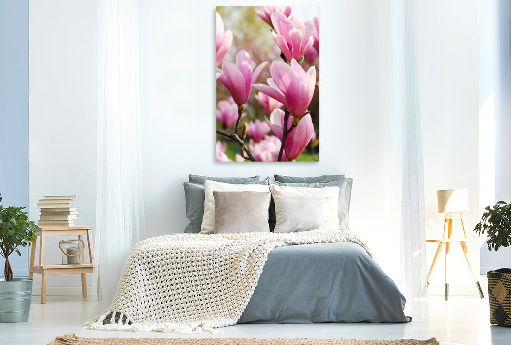 Premium Textil-Leinwand Premium Textil-Leinwand 80 cm x 120 cm  hoch Pinke Magnolie