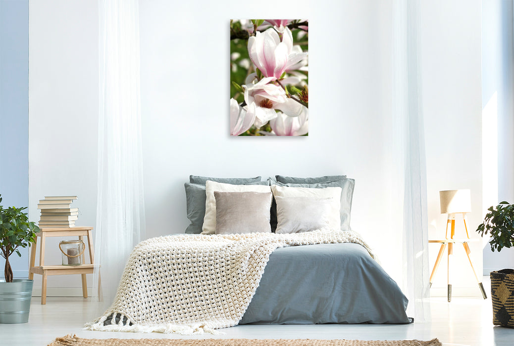 Premium Textil-Leinwand Premium Textil-Leinwand 80 cm x 120 cm  hoch Magnolienblüten mit Tropfen
