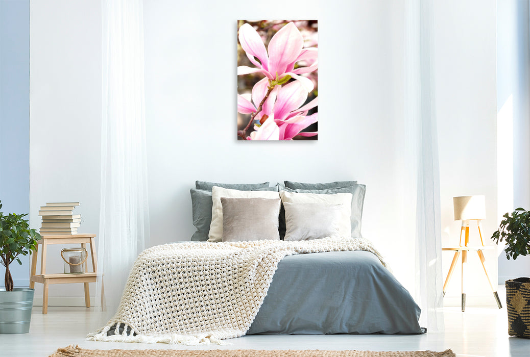 Premium Textil-Leinwand Premium Textil-Leinwand 80 cm x 120 cm  hoch Rosa Magnolienblüten
