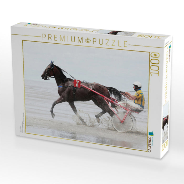 Nasse Fahrt - CALVENDO Foto-Puzzle'