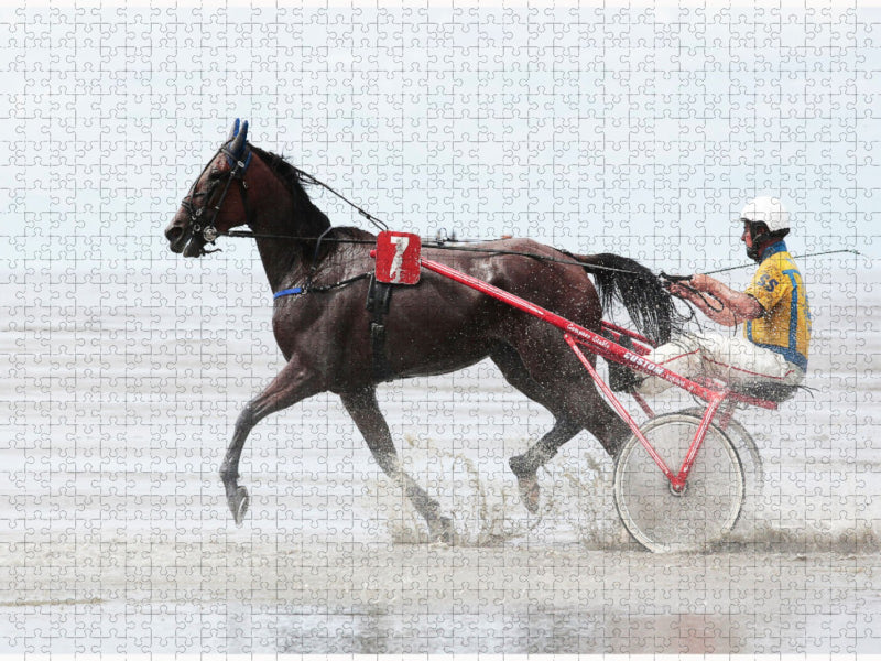 Nasse Fahrt - CALVENDO Foto-Puzzle'