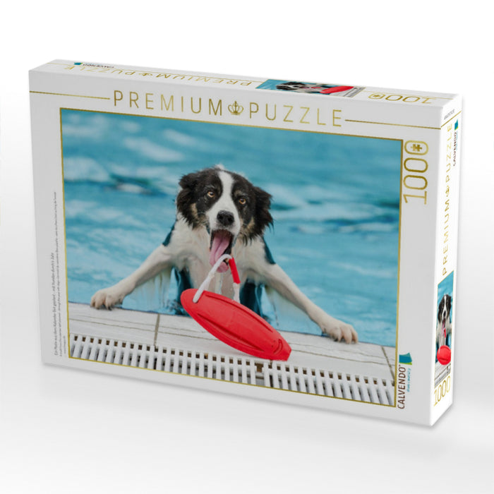 Ein Motiv aus dem Kalender Gut geplant - mit Hunden durch´s Jahr - CALVENDO Foto-Puzzle'