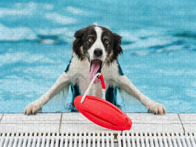 Ein Motiv aus dem Kalender Gut geplant - mit Hunden durch´s Jahr - CALVENDO Foto-Puzzle'