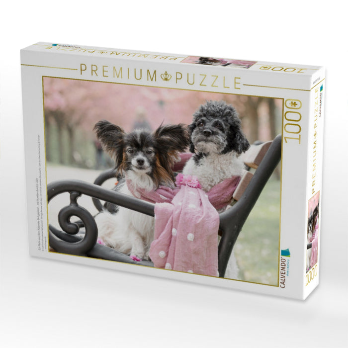 Ein Motiv aus dem Kalender Gut geplant - mit Hunden durch´s Jahr - CALVENDO Foto-Puzzle'
