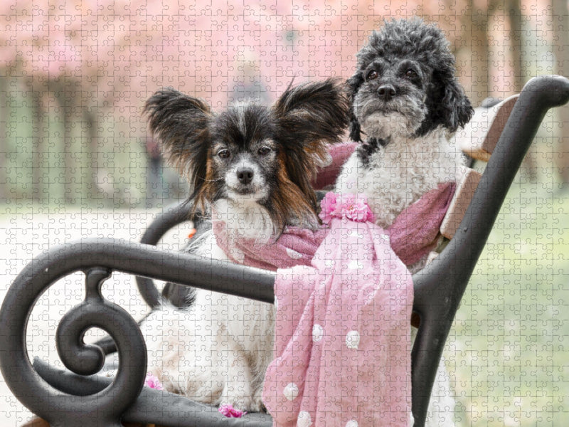 Ein Motiv aus dem Kalender Gut geplant - mit Hunden durch´s Jahr - CALVENDO Foto-Puzzle'