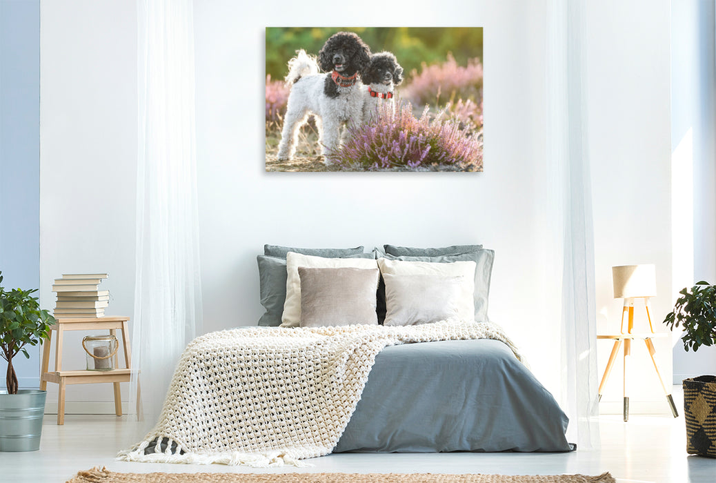 Premium Textil-Leinwand Premium Textil-Leinwand 120 cm x 80 cm quer Ein Motiv aus dem Kalender Gut geplant - mit Hunden durch´s Jahr