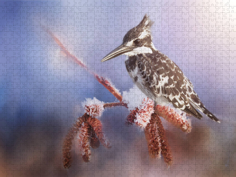 - CALVENDO Foto-Puzzle'