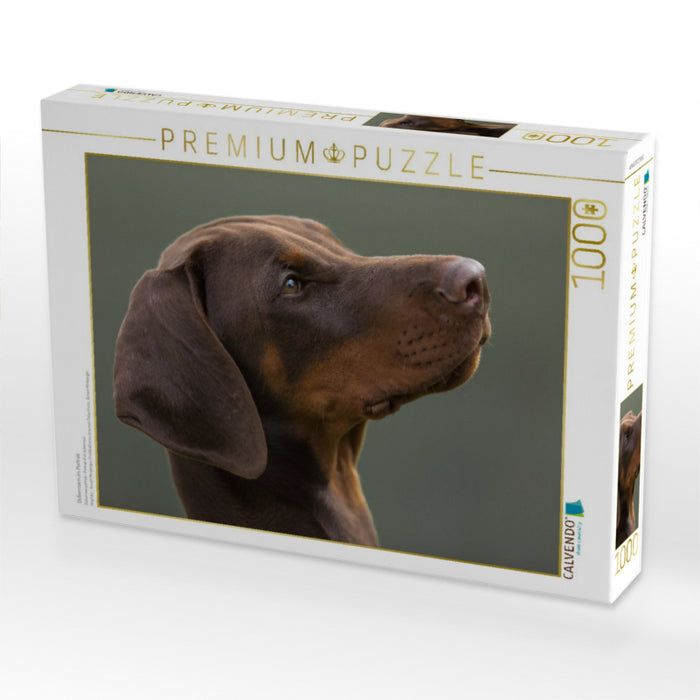 Dobermann im Portrait - CALVENDO Foto-Puzzle'