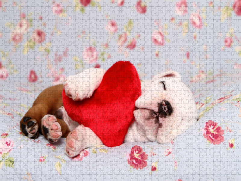 Englische Bulldogge Welpe / English Bulldog Puppy - CALVENDO Foto-Puzzle'