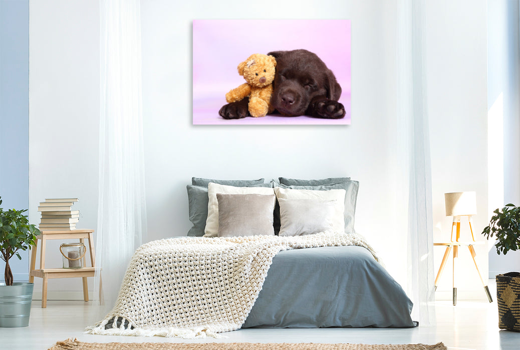 Premium Textil-Leinwand Premium Textil-Leinwand 120 cm x 80 cm quer Labrador Retriever Welpe / Labrador Retriever Puppy