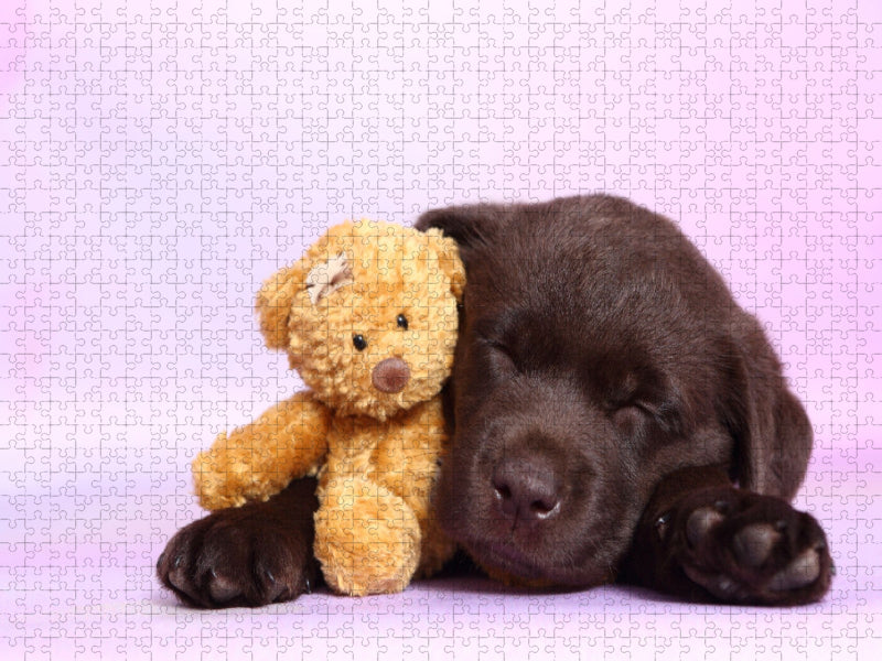 Labrador Retriever Welpe / Labrador Retriever Puppy - CALVENDO Foto-Puzzle'
