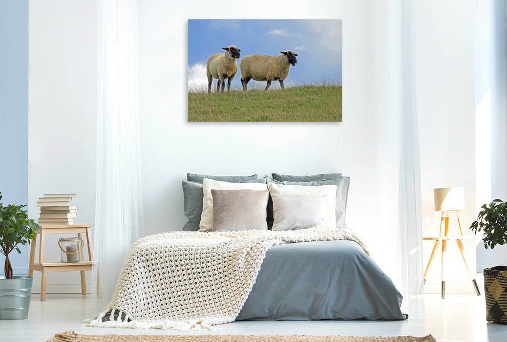 Toile textile premium Toile textile premium 120 cm x 80 cm paysage Un motif du calendrier GREETSIEL - coupe-crevettes moutons mouettes 
