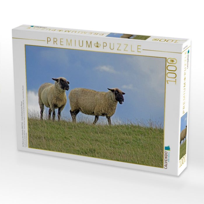 Ein Motiv aus dem Kalender GREETSIEL - Schafe Krabbenkutter Möwen - CALVENDO Foto-Puzzle'