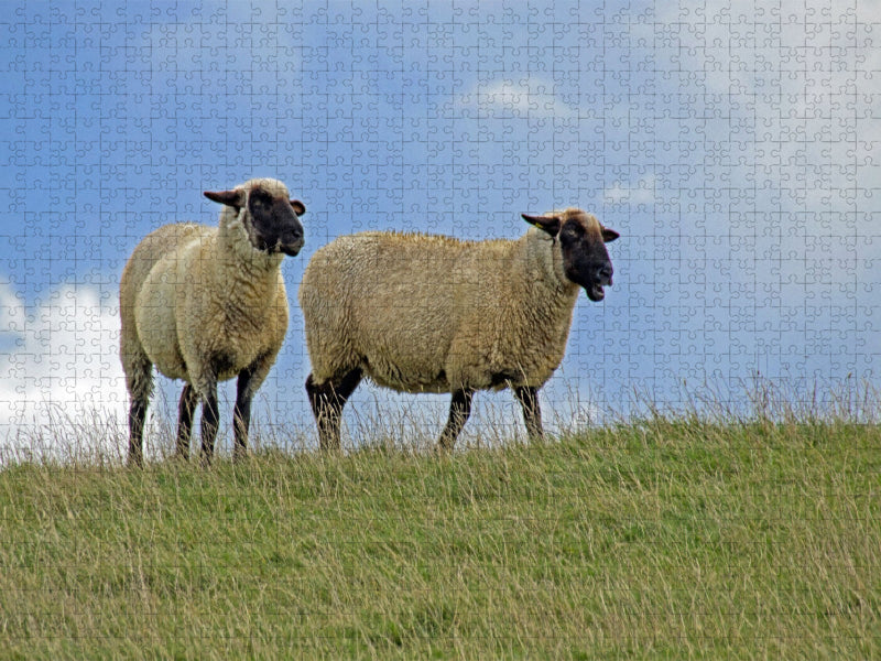 Ein Motiv aus dem Kalender GREETSIEL - Schafe Krabbenkutter Möwen - CALVENDO Foto-Puzzle'