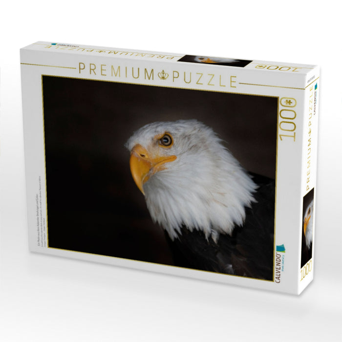 Ein Motiv aus dem Kalender Greifvögel und Eulen - CALVENDO Foto-Puzzle'