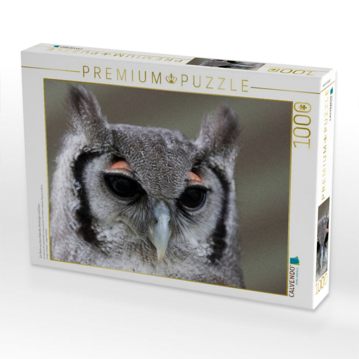 Ein Motiv aus dem Kalender Greifvögel und Eulen - CALVENDO Foto-Puzzle'