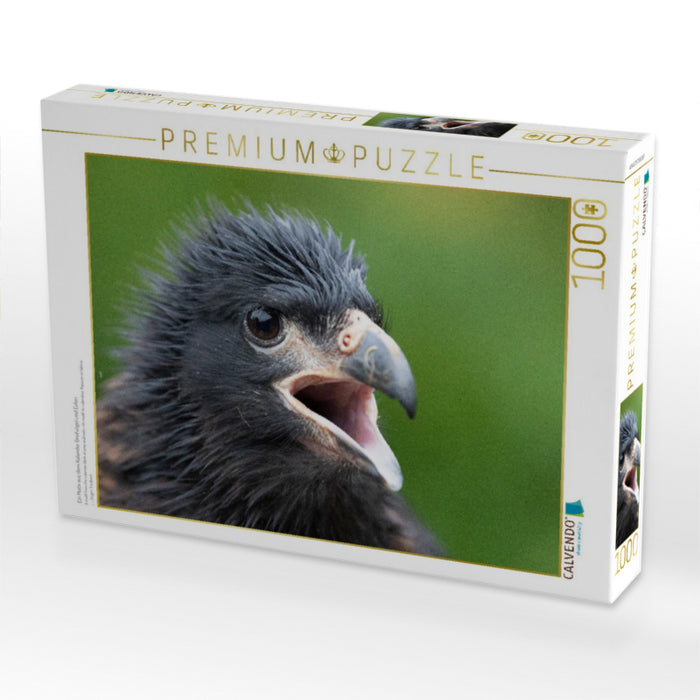 Ein Motiv aus dem Kalender Greifvögel und Eulen - CALVENDO Foto-Puzzle'