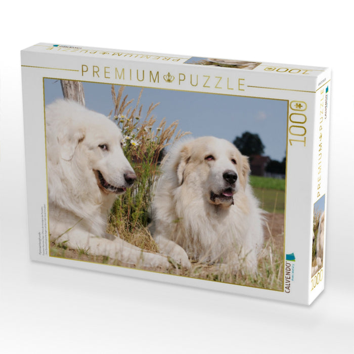 Pyrenäenberghunde - CALVENDO Foto-Puzzle'