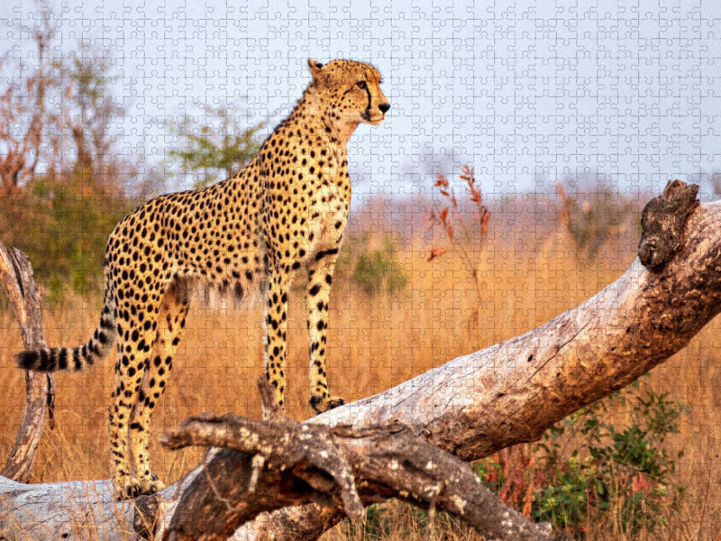 Wilder Gepard auf Baum - CALVENDO Foto-Puzzle'