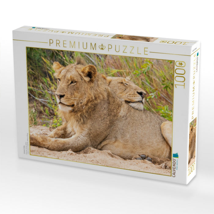 Löwen Liebe - CALVENDO Foto-Puzzle'