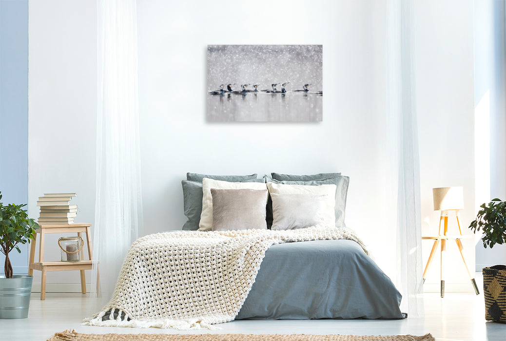 Premium Textil-Leinwand Premium Textil-Leinwand 90 cm x 60 cm quer Ein Motiv aus dem Kalender Der Kormoran-Ein intelligenter Fischjäger