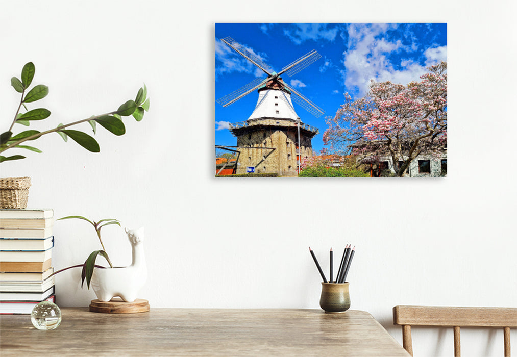 Premium textile canvas Premium textile canvas 120 cm x 80 cm across Mühle Amanda in Kappeln 