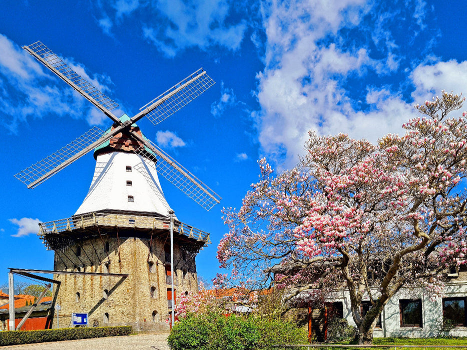 Mühle Amanda in Kappeln - CALVENDO Foto-Puzzle'