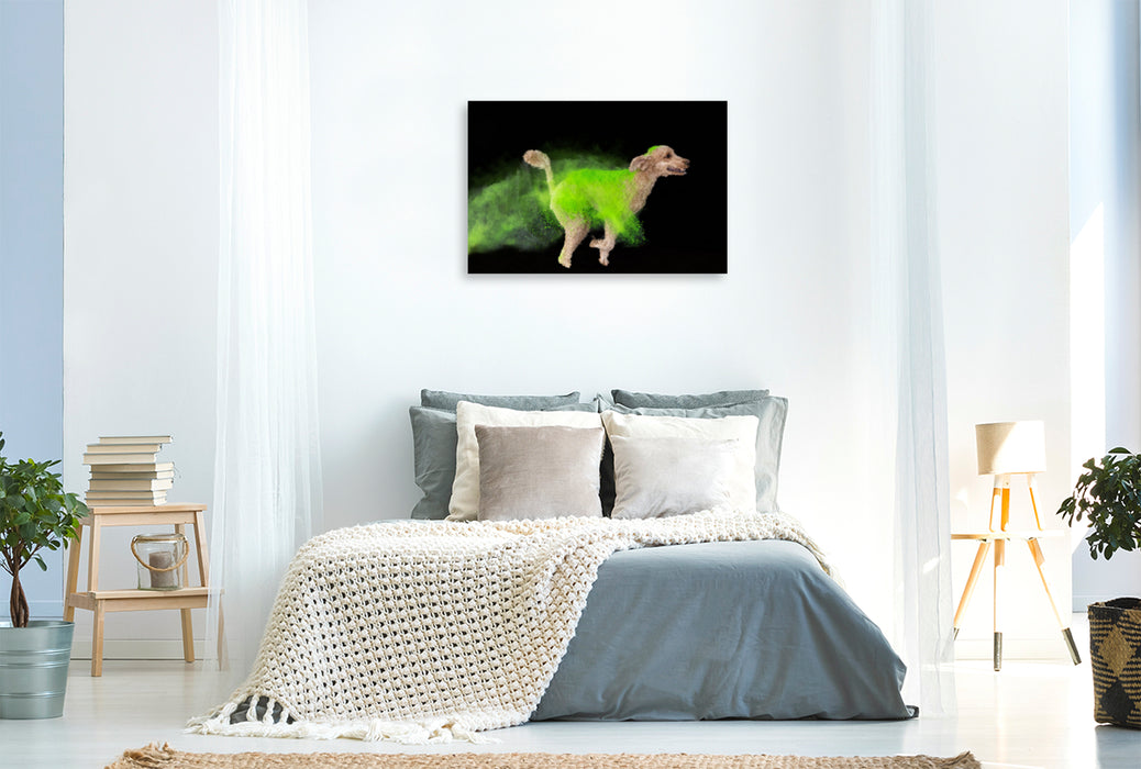 Premium textile canvas Premium textile canvas 120 cm x 80 cm landscape King Poodle with bright green Holi powder 