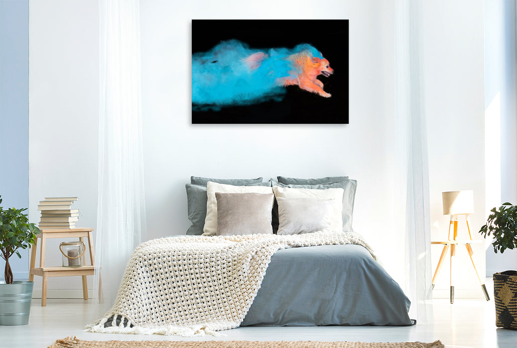 Premium textile canvas Premium textile canvas 120 cm x 80 cm landscape Flying colorful dog 