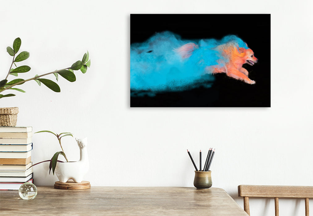 Premium textile canvas Premium textile canvas 120 cm x 80 cm landscape Flying colorful dog 