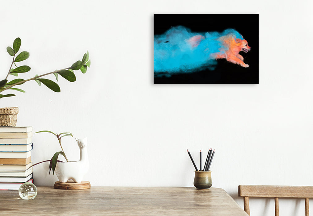 Premium textile canvas Premium textile canvas 120 cm x 80 cm landscape Flying colorful dog 