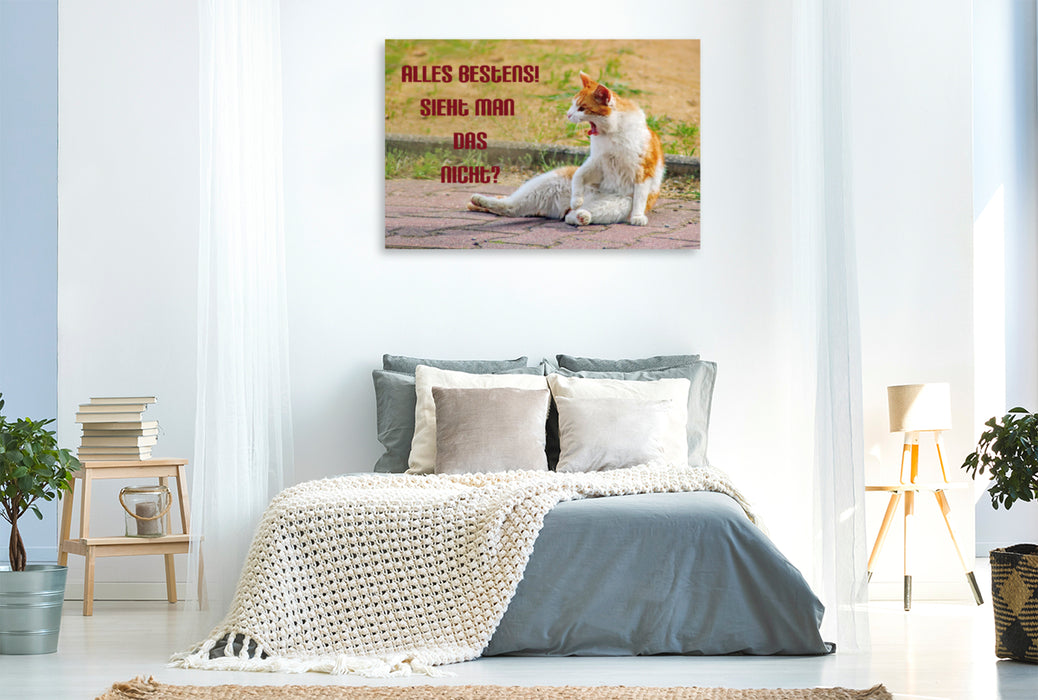 Premium textile canvas Premium textile canvas 120 cm x 80 cm landscape Cat in irritable mode 