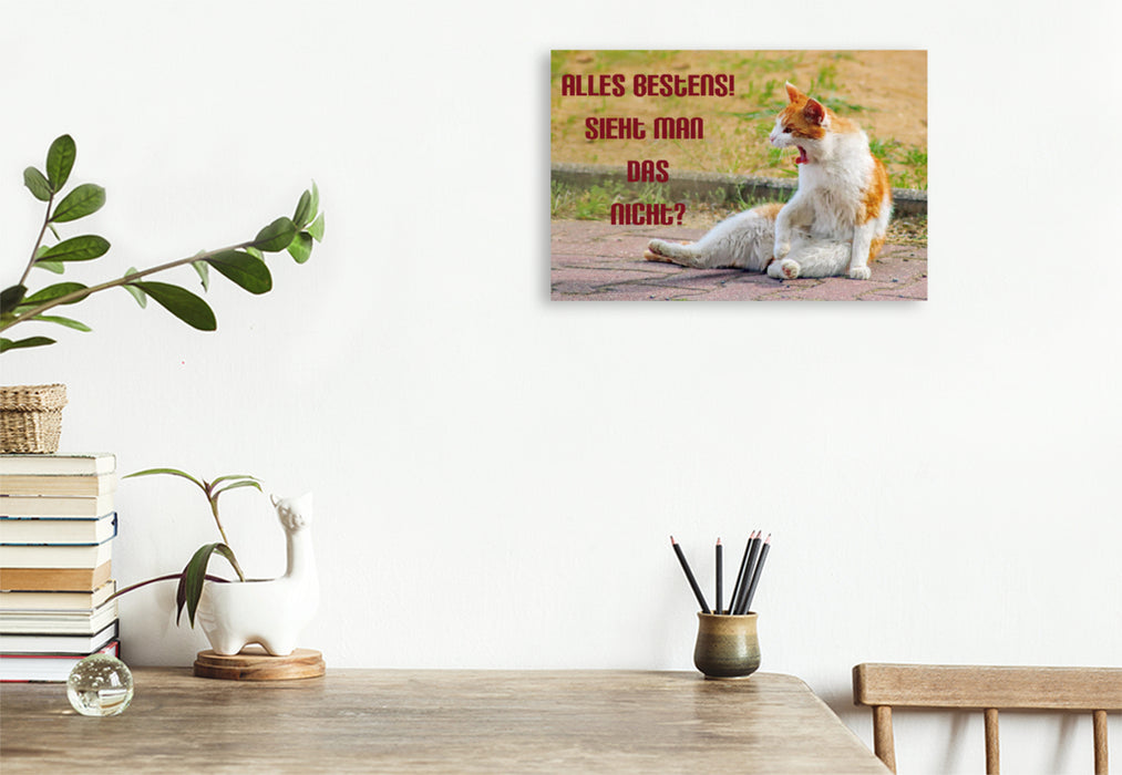 Premium textile canvas Premium textile canvas 120 cm x 80 cm landscape Cat in irritable mode 