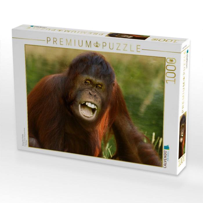 Orang Utan Florida - CALVENDO Foto-Puzzle'