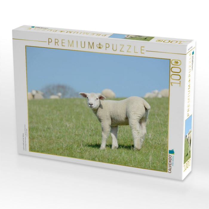 Lamm steht auf der Wiese - CALVENDO Foto-Puzzle'