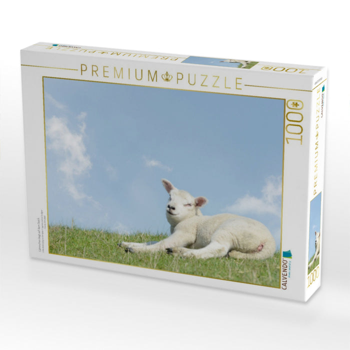 Lämmchen liegt auf dem Deich - CALVENDO Foto-Puzzle'